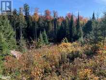 0 SUGAR BUSH Road E | Magnetawan Ontario | Slide Image Thirteen