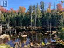 0 SUGAR BUSH Road E | Magnetawan Ontario | Slide Image Nineteen