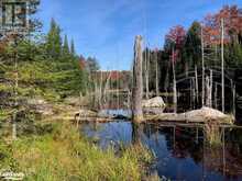 0 SUGAR BUSH Road E | Magnetawan Ontario | Slide Image Twenty-one