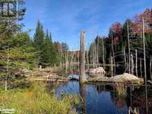 0 SUGAR BUSH Road E | Magnetawan Ontario | Slide Image Twenty-four