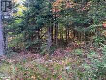 0 SUGAR BUSH Road E | Magnetawan Ontario | Slide Image Thirty-four