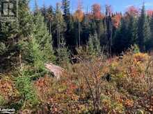 0 SUGAR BUSH ROAD E | Magnetawan Ontario | Slide Image Fifteen