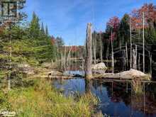 0 SUGAR BUSH ROAD E | Magnetawan Ontario | Slide Image Twenty-one