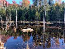 0 SUGAR BUSH ROAD E | Magnetawan Ontario | Slide Image Twenty-three