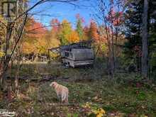 0 SUGAR BUSH ROAD E | Magnetawan Ontario | Slide Image Thirty-five