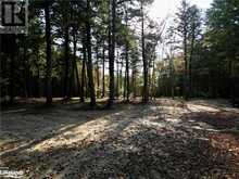 0 LIMBERLOST Road | Lake of Bays Ontario | Slide Image Eleven