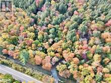 0 LIMBERLOST Road | Lake of Bays Ontario | Slide Image Twelve