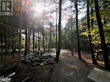 0 LIMBERLOST Road | Lake of Bays Ontario | Slide Image Fifteen