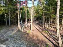 0 LIMBERLOST Road | Lake of Bays Ontario | Slide Image Sixteen