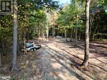 0 LIMBERLOST Road | Lake of Bays Ontario | Slide Image Seventeen