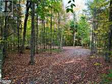 0 LIMBERLOST Road | Lake of Bays Ontario | Slide Image Twenty-two