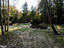 0 LIMBERLOST Road | Lake of Bays Ontario | Slide Image Four