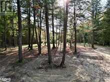 0 LIMBERLOST Road | Lake of Bays Ontario | Slide Image Five