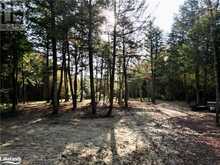 0 LIMBERLOST Road | Lake of Bays Ontario | Slide Image Seven