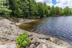 15KL2 KAHSHE Lake | Gravenhurst Ontario | Slide Image Sixteen