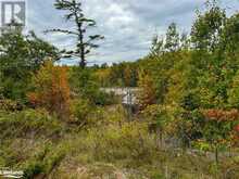 1994 HWY 11 N | Gravenhurst Ontario | Slide Image Seventeen