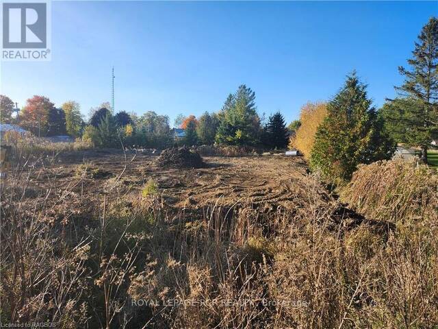 LT 17 GOLD STREET Dundalk Ontario, N0C 1B0 - Vacant Land For Sale