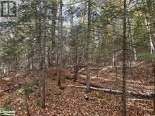 0 PARISH LINE Road | Haliburton Ontario | Slide Image Eighteen