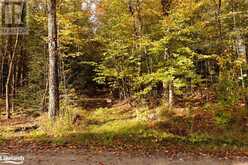 LOT 15 CON 12 SOUTH MENOMINEE LAKE Road | Lake of Bays Ontario | Slide Image Six