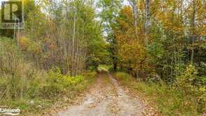 1600 BOBCAYGEON Road | Minden Ontario | Slide Image Eight