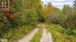 1600 BOBCAYGEON Road | Minden Ontario | Slide Image Nine