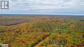 1600 BOBCAYGEON ROAD | Minden Hills Ontario | Slide Image Thirty-two