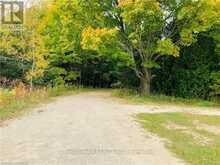 20 CAPE HURD ROAD S | Northern Bruce Peninsula Ontario | Slide Image Six