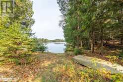 1086 SOUTH TOAD LAKE Road | Lake of Bays Ontario | Slide Image Twenty