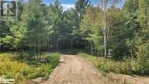 LOT 1 N/A | Haliburton Ontario | Slide Image One