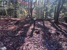 LOT 1 N/A | Haliburton Ontario | Slide Image Eight