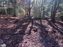 1071 HAWK VALLEY ROAD | Algonquin Highlands Ontario | Slide Image Eight