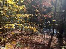 1071 HAWK VALLEY ROAD | Algonquin Highlands Ontario | Slide Image Nine