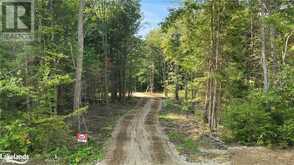 LOT 7 N/A | Haliburton Ontario | Slide Image One