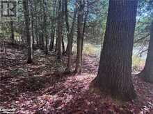 LOT 6 N/A | Haliburton Ontario | Slide Image Six