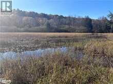 LOT 6 N/A | Haliburton Ontario | Slide Image Eight