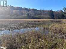 LOT 6 N/A | Algonquin Highlands Ontario | Slide Image Eight