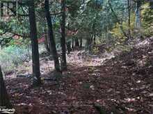 LOT 6 N/A | Algonquin Highlands Ontario | Slide Image Nine