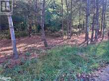 1081 HAWK VALLEY ROAD | Algonquin Highlands Ontario | Slide Image Two