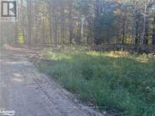 1081 HAWK VALLEY ROAD | Algonquin Highlands Ontario | Slide Image Three