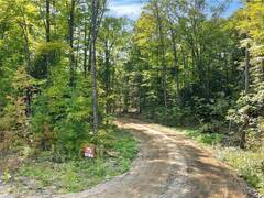 LOT 11 N/A Haliburton Ontario, K0M 1J2