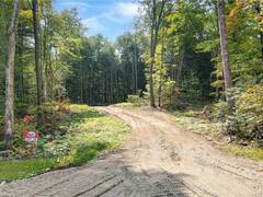 LOT 16 N/A Haliburton Ontario, K0M 1J2