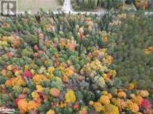 0 COUNTY ROAD 121 Road | Kinmount Ontario | Slide Image Eighteen