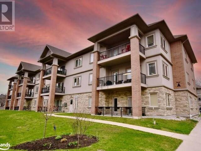 19A YONGE Street N Unit# 105 Elmvale Ontario, L0L 1P0