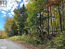 LOT 1 DWIGHT BEACH ROAD | Lake of Bays Ontario | Slide Image Ten