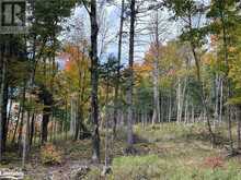 LOT 1 DWIGHT BEACH ROAD | Lake of Bays Ontario | Slide Image Fourteen