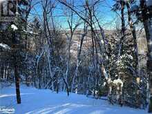 LOT 1 DWIGHT BEACH ROAD | Lake of Bays Ontario | Slide Image Twenty-seven