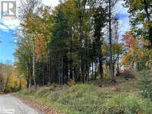 LOT 1 DWIGHT BEACH ROAD | Lake of Bays Ontario | Slide Image Three