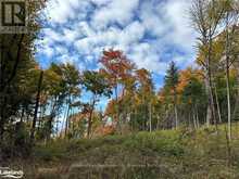 LOT 1 DWIGHT BEACH ROAD | Lake of Bays Ontario | Slide Image Forty