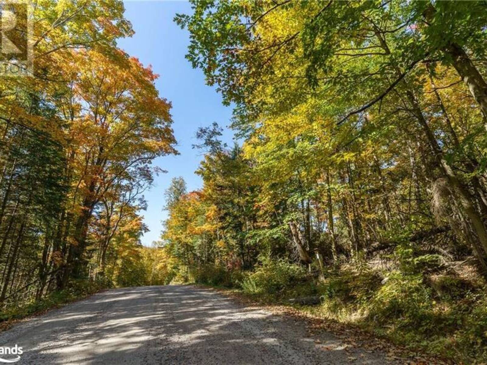 LOT 1 DWIGHT BEACH Road, Dwight, Ontario P0A 1H0