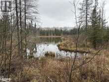 LOT 3 HILL AND GULLY Road | Burks Falls Ontario | Slide Image Eight